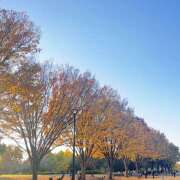 ヒメ日記 2025/11/16 11:05 投稿 さりな 美熟女倶楽部Hip's 春日部店