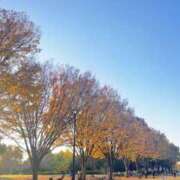 ヒメ日記 2025/11/16 11:12 投稿 さりな 美熟女倶楽部Hip's 春日部店