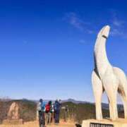 ヒメ日記 2025/12/15 14:12 投稿 さりな 美熟女倶楽部Hip's 春日部店