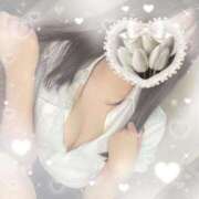 ヒメ日記 2025/03/10 12:21 投稿 呉羽　もな NADIA京都店