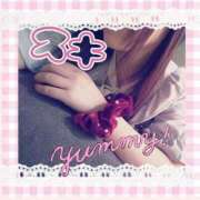 ヒメ日記 2025/03/02 08:53 投稿 北条　れい Amateras～アマテラス～