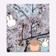 ヒメ日記 2025/04/10 17:28 投稿 北条　れい Amateras～アマテラス～