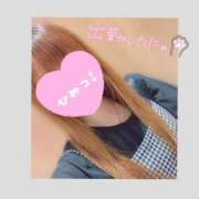 ヒメ日記 2025/09/14 08:51 投稿 北条　れい Amateras～アマテラス～