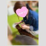 ヒメ日記 2025/11/29 16:30 投稿 北条　れい Amateras～アマテラス～