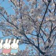 ヒメ日記 2026/04/06 15:45 投稿 北条　れい Amateras～アマテラス～