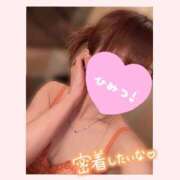 ヒメ日記 2026/07/01 09:30 投稿 北条　れい Amateras～アマテラス～