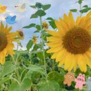ヒメ日記 2026/07/17 21:01 投稿 北条　れい Amateras～アマテラス～