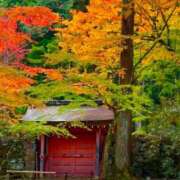 ヒメ日記 2024/12/19 07:46 投稿 神崎　今日子 Amateras～アマテラス～