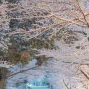 ヒメ日記 2025/02/20 07:04 投稿 神崎　今日子 Amateras～アマテラス～