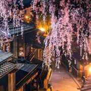 ヒメ日記 2025/03/04 07:45 投稿 神崎　今日子 Amateras～アマテラス～