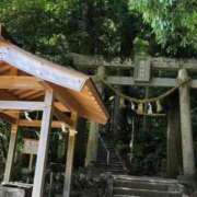 ヒメ日記 2025/03/20 07:45 投稿 神崎　今日子 Amateras～アマテラス～