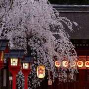 ヒメ日記 2025/04/02 07:45 投稿 神崎　今日子 Amateras～アマテラス～