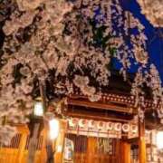 ヒメ日記 2025/04/08 07:45 投稿 神崎　今日子 Amateras～アマテラス～