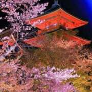 ヒメ日記 2025/04/10 07:45 投稿 神崎　今日子 Amateras～アマテラス～