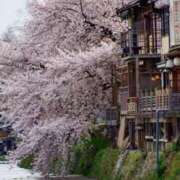 ヒメ日記 2025/04/16 07:45 投稿 神崎　今日子 Amateras～アマテラス～