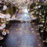 ヒメ日記 2025/04/17 07:45 投稿 神崎　今日子 Amateras～アマテラス～