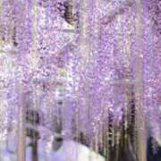 ヒメ日記 2025/04/24 07:45 投稿 神崎　今日子 Amateras～アマテラス～