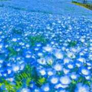 ヒメ日記 2025/05/02 07:45 投稿 神崎　今日子 Amateras～アマテラス～