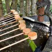 ヒメ日記 2025/05/09 07:45 投稿 神崎　今日子 Amateras～アマテラス～