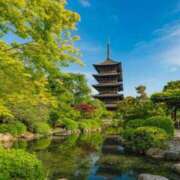 ヒメ日記 2025/05/14 07:45 投稿 神崎　今日子 Amateras～アマテラス～