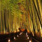 ヒメ日記 2025/05/22 07:45 投稿 神崎　今日子 Amateras～アマテラス～