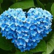 ヒメ日記 2025/06/05 07:45 投稿 神崎　今日子 Amateras～アマテラス～