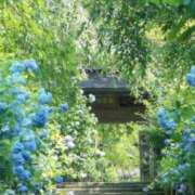 ヒメ日記 2025/06/18 08:15 投稿 神崎　今日子 Amateras～アマテラス～