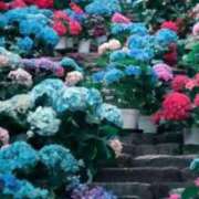 ヒメ日記 2025/06/19 07:45 投稿 神崎　今日子 Amateras～アマテラス～