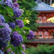 ヒメ日記 2025/06/24 07:45 投稿 神崎　今日子 Amateras～アマテラス～