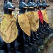 ヒメ日記 2025/06/25 07:45 投稿 神崎　今日子 Amateras～アマテラス～