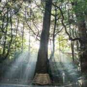 ヒメ日記 2025/07/08 07:45 投稿 神崎　今日子 Amateras～アマテラス～