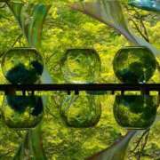 ヒメ日記 2025/07/10 07:45 投稿 神崎　今日子 Amateras～アマテラス～