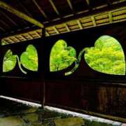 ヒメ日記 2025/07/16 07:45 投稿 神崎　今日子 Amateras～アマテラス～