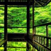 ヒメ日記 2025/07/31 07:45 投稿 神崎　今日子 Amateras～アマテラス～