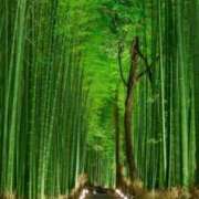 ヒメ日記 2025/08/04 07:45 投稿 神崎　今日子 Amateras～アマテラス～