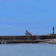 ヒメ日記 2025/08/15 07:45 投稿 神崎　今日子 Amateras～アマテラス～