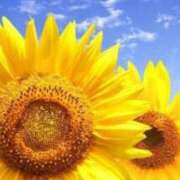 ヒメ日記 2025/08/21 07:45 投稿 神崎　今日子 Amateras～アマテラス～