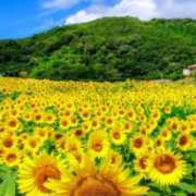 ヒメ日記 2025/08/29 07:45 投稿 神崎　今日子 Amateras～アマテラス～