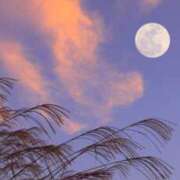 ヒメ日記 2025/09/23 07:45 投稿 神崎　今日子 Amateras～アマテラス～