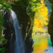 ヒメ日記 2025/10/15 07:45 投稿 神崎　今日子 Amateras～アマテラス～