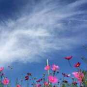 ヒメ日記 2025/10/23 07:45 投稿 神崎　今日子 Amateras～アマテラス～