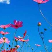 ヒメ日記 2025/10/28 07:45 投稿 神崎　今日子 Amateras～アマテラス～