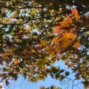 ヒメ日記 2025/11/05 07:45 投稿 神崎　今日子 Amateras～アマテラス～