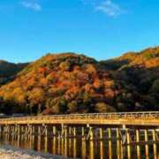 ヒメ日記 2025/11/13 07:45 投稿 神崎　今日子 Amateras～アマテラス～