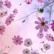 ヒメ日記 2025/11/14 07:45 投稿 神崎　今日子 Amateras～アマテラス～