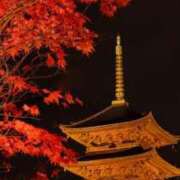 ヒメ日記 2025/11/18 07:45 投稿 神崎　今日子 Amateras～アマテラス～