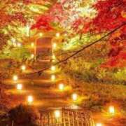 ヒメ日記 2025/11/19 07:45 投稿 神崎　今日子 Amateras～アマテラス～