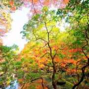 ヒメ日記 2025/11/20 07:45 投稿 神崎　今日子 Amateras～アマテラス～