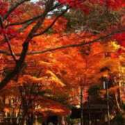 ヒメ日記 2025/11/25 07:45 投稿 神崎　今日子 Amateras～アマテラス～