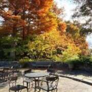 ヒメ日記 2025/12/03 07:45 投稿 神崎　今日子 Amateras～アマテラス～